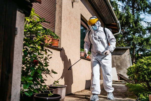 Pest Prevention Services in Jefferson, TX