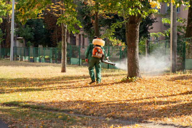 Professional Pest Control in Jefferson, TX